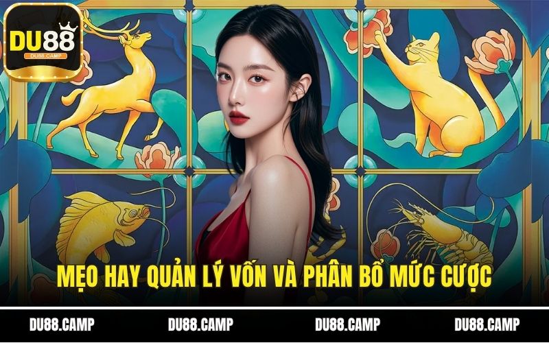 Mẹo hay quản lý vốn và phân bổ mức cược